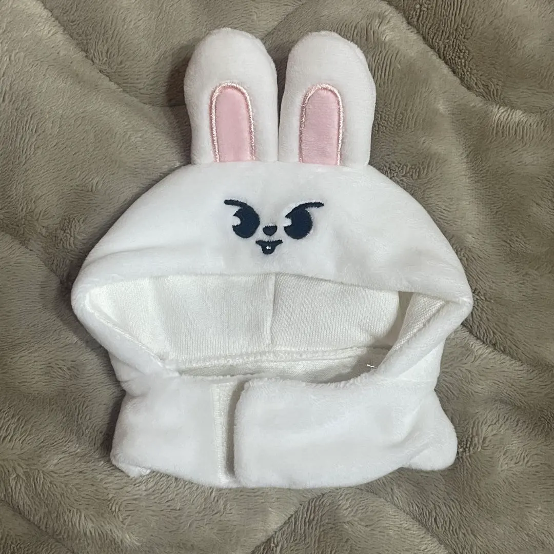 2026年最新】straykids リノ ペンライトカバーの人気アイテム - メルカリ