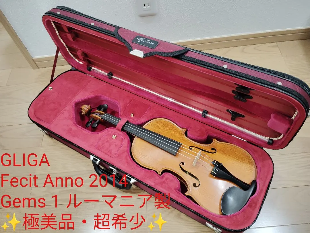 2026年最新】バイオリン GLIGAの人気アイテム - メルカリ