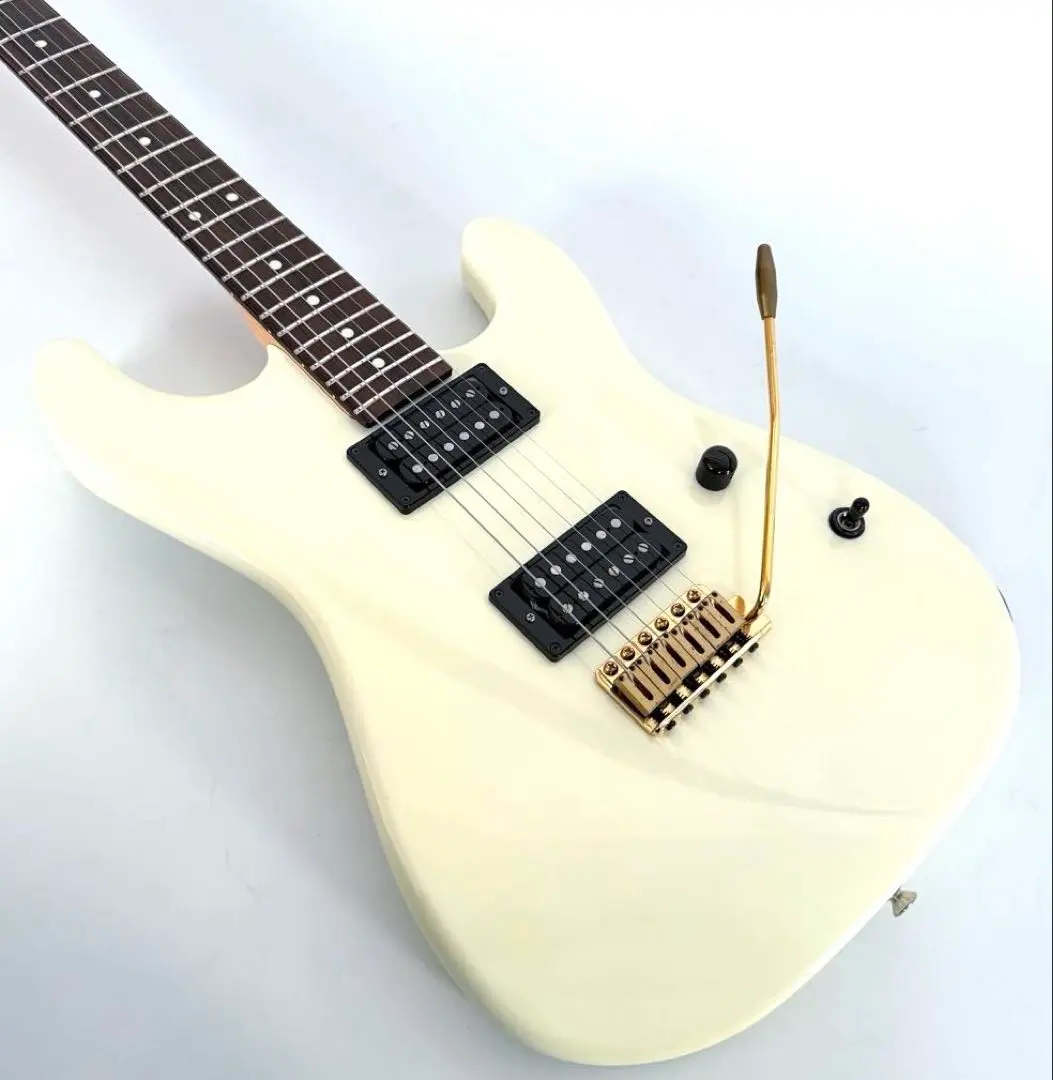 2026年最新】fernandes limited editionの人気アイテム - メルカリ