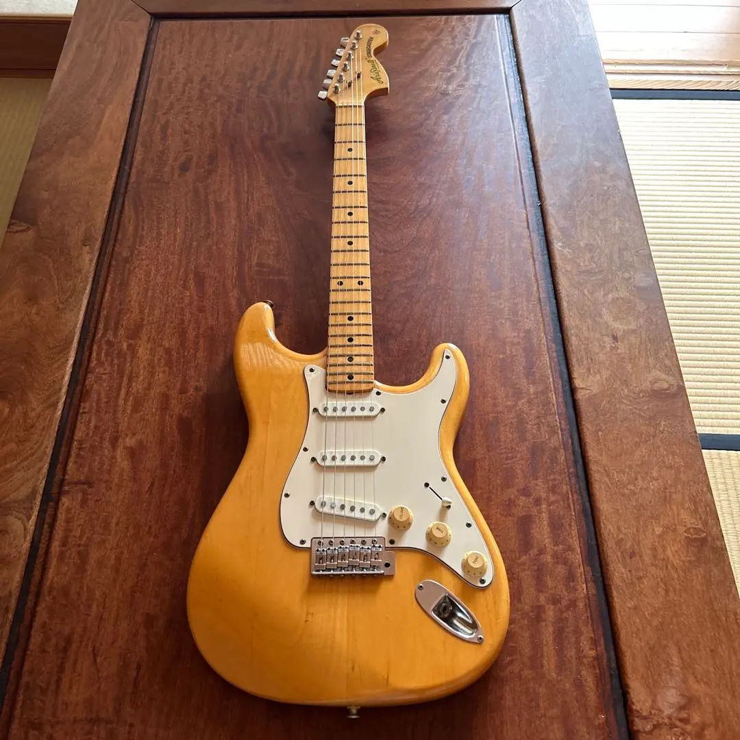 2026年最新】ARIA STAGECASTERの人気アイテム - メルカリ