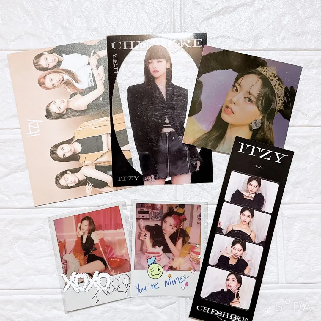 2026年最新】チェシャー spの人気アイテム - メルカリ