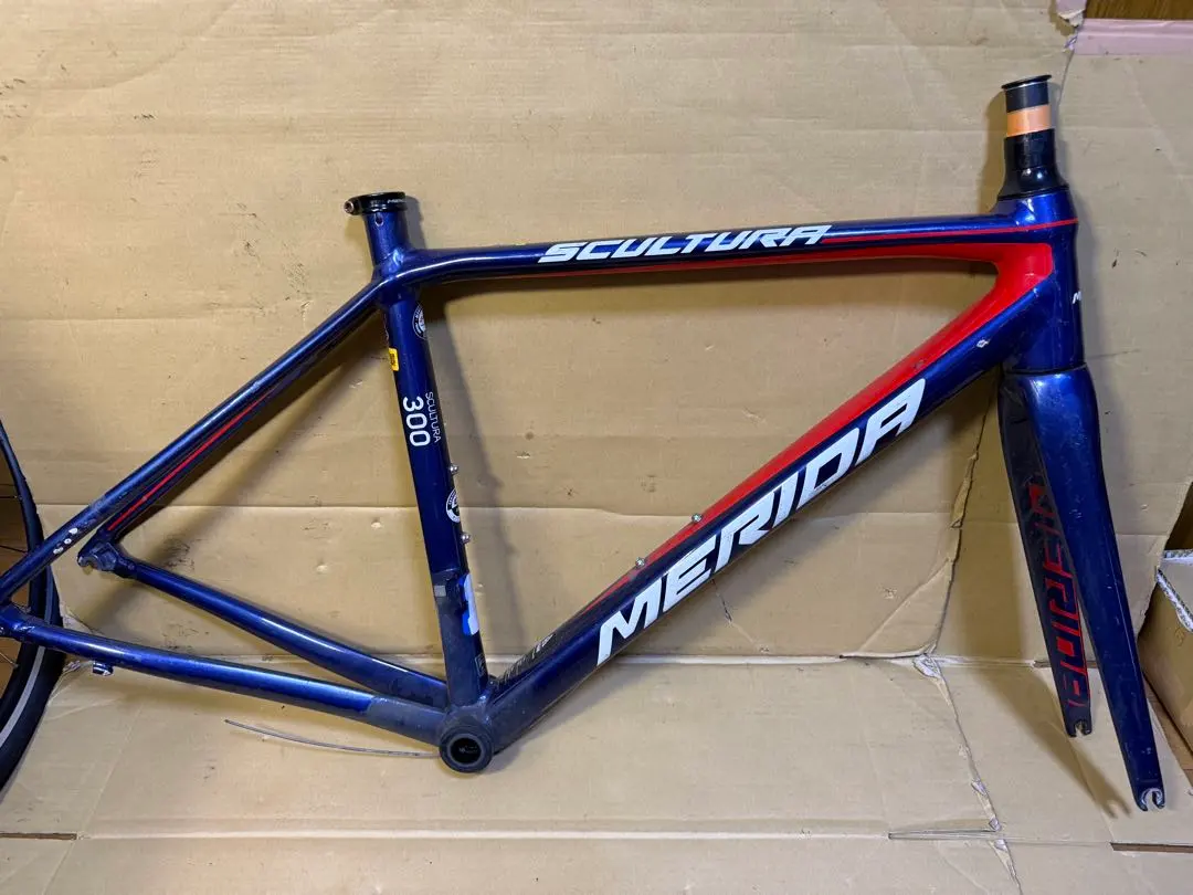 2026年最新】MERIDA フレームの人気アイテム - メルカリ
