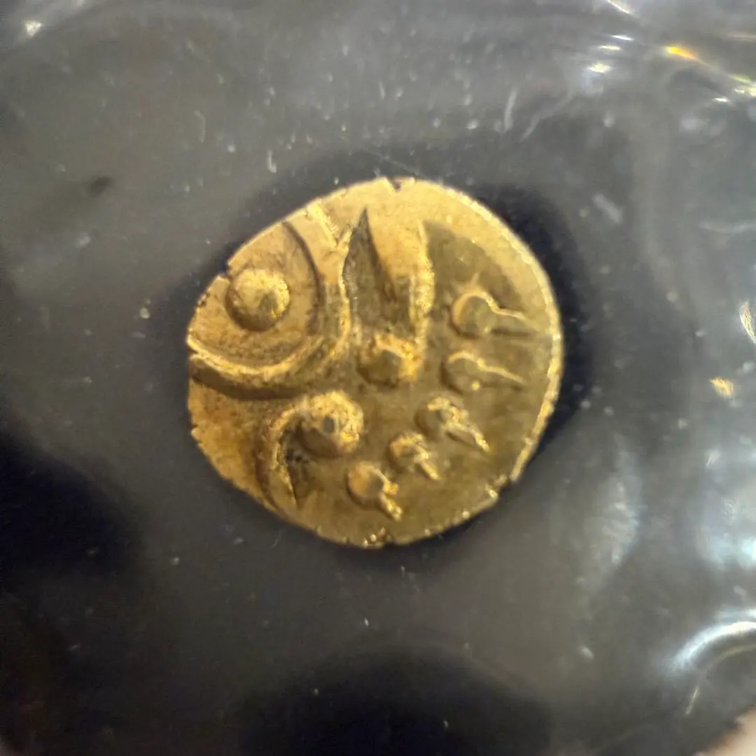 2026年最新】ファナム金貨の人気アイテム - メルカリ