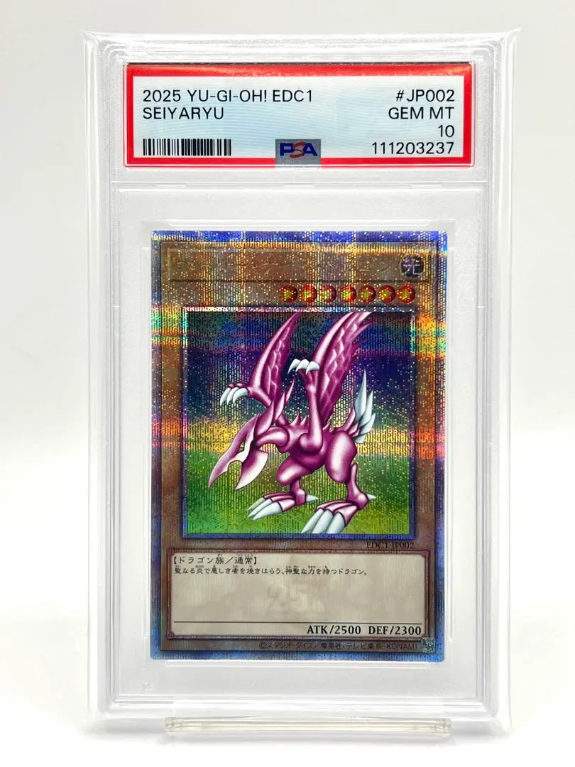 2026年最新】ホーリーナイトドラゴン psa10の人気アイテム - メルカリ