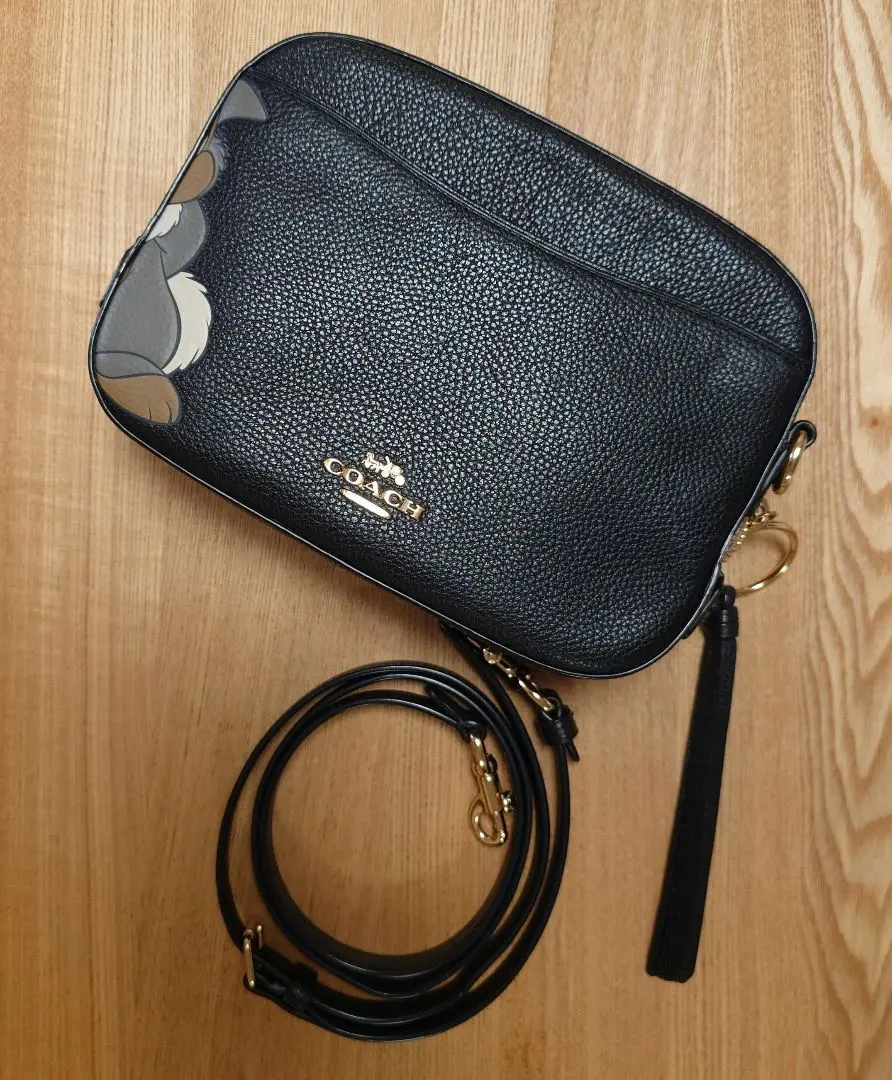 2026年最新】とんすけ coachの人気アイテム - メルカリ