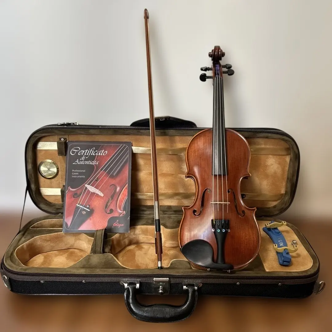 2026年最新】バイオリン GLIGAの人気アイテム - メルカリ
