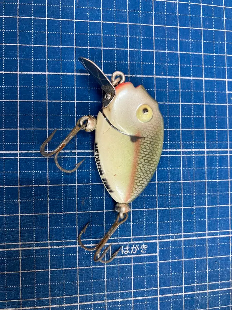 2026年最新】ヘドン パンキンシードの人気アイテム - メルカリ