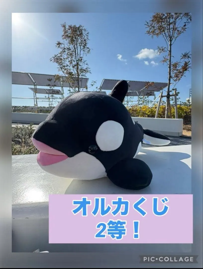 2026年最新】須磨シーワールド シャチ 2等の人気アイテム - メルカリ