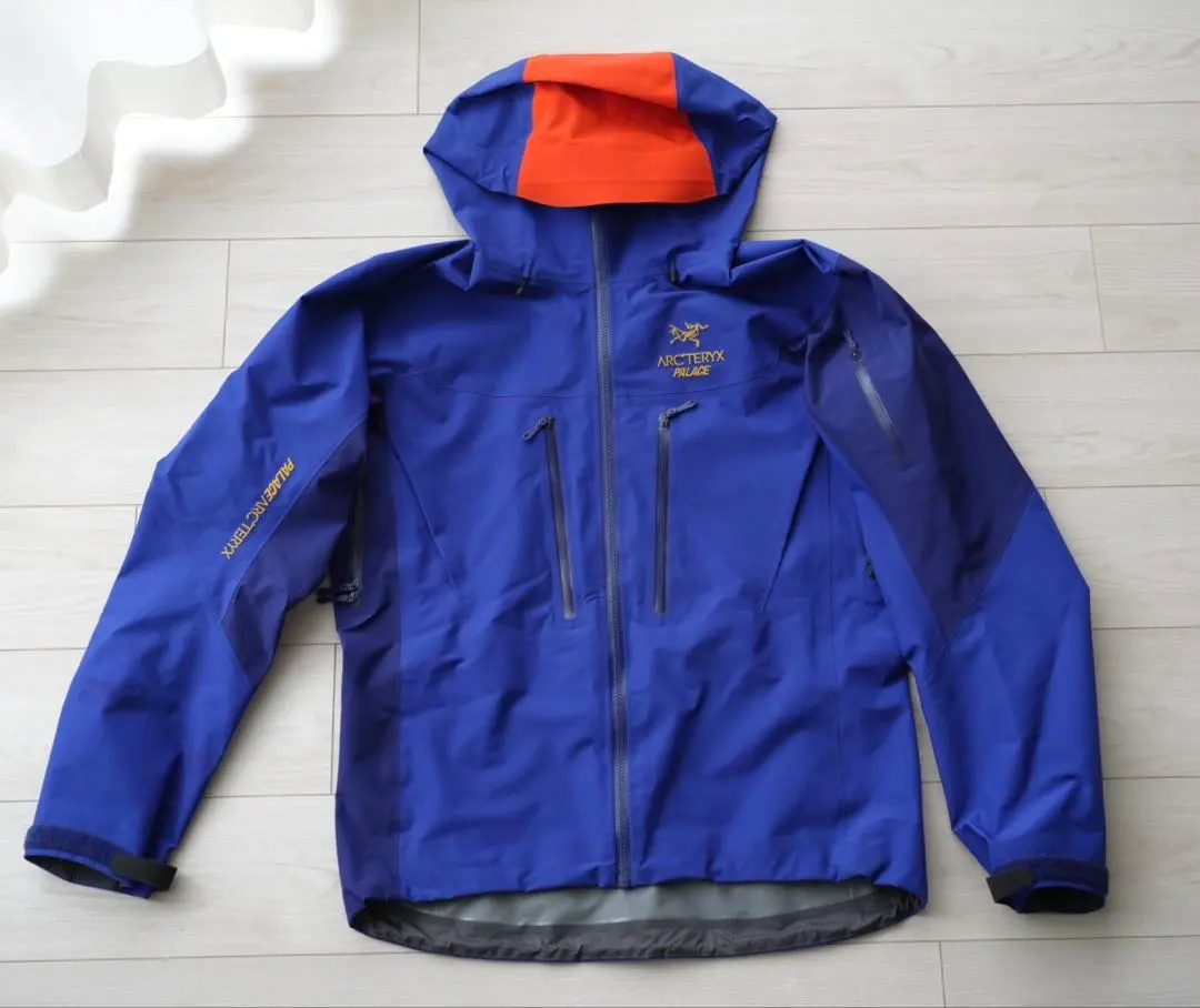 2026年最新】palace arc'teryx alpha svの人気アイテム - メルカリ