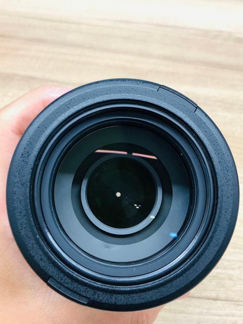 Nikon 望遠ズームレンズ AF-S DX 55-300mm f4.5-5.6