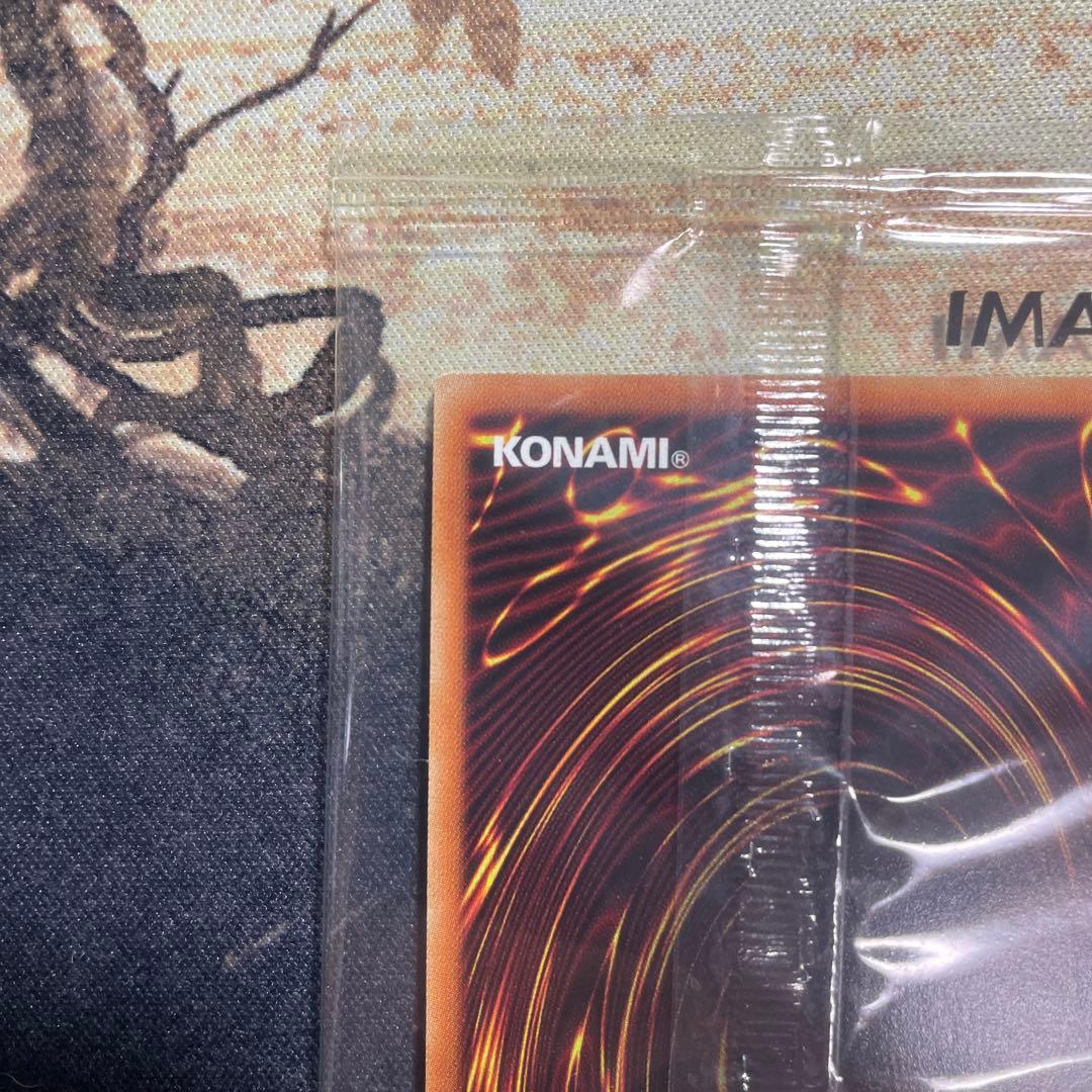 遊戯王_ブラックマジシャン【Special illust Ver.】当選品