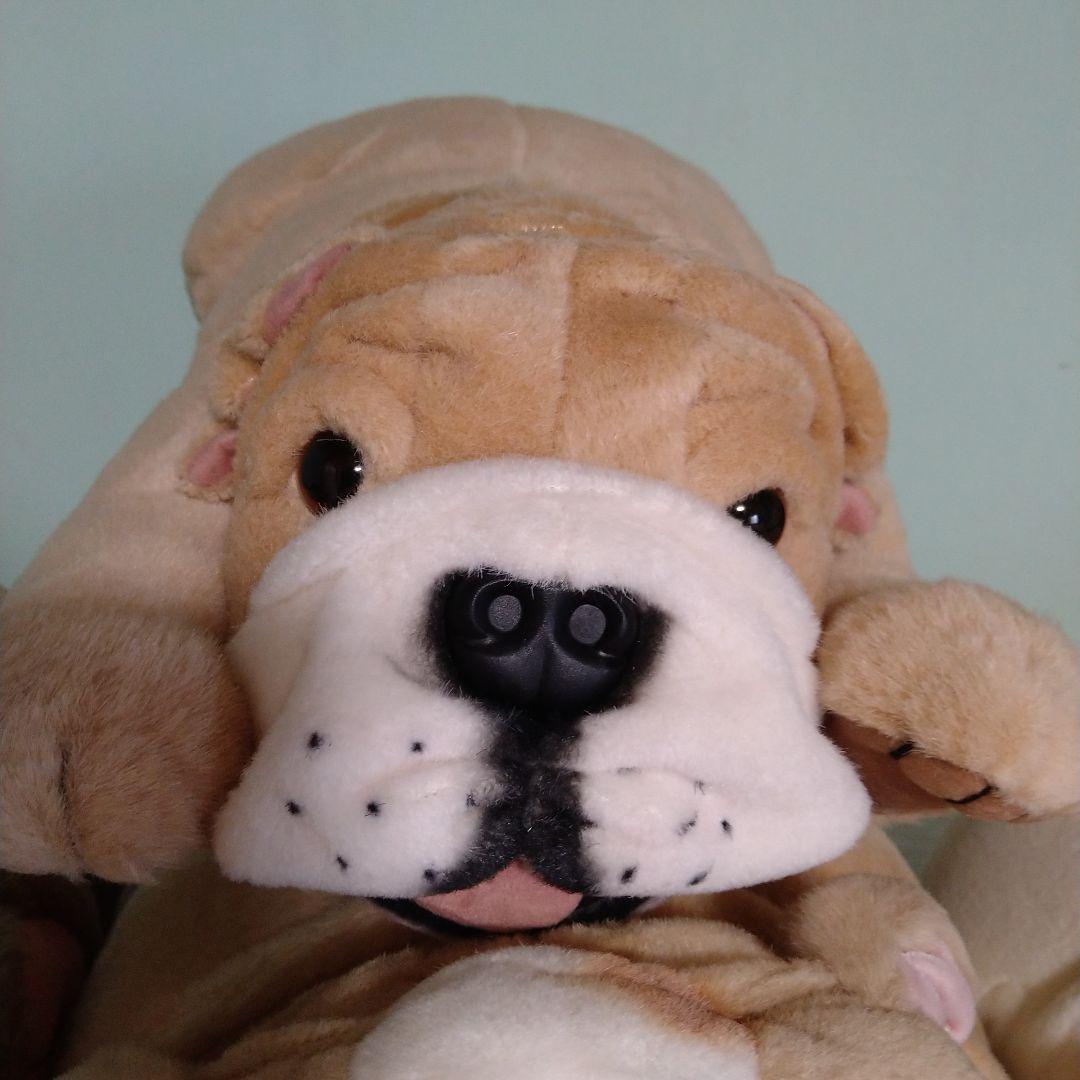 ブルドッグぬいぐるみ 大きめ