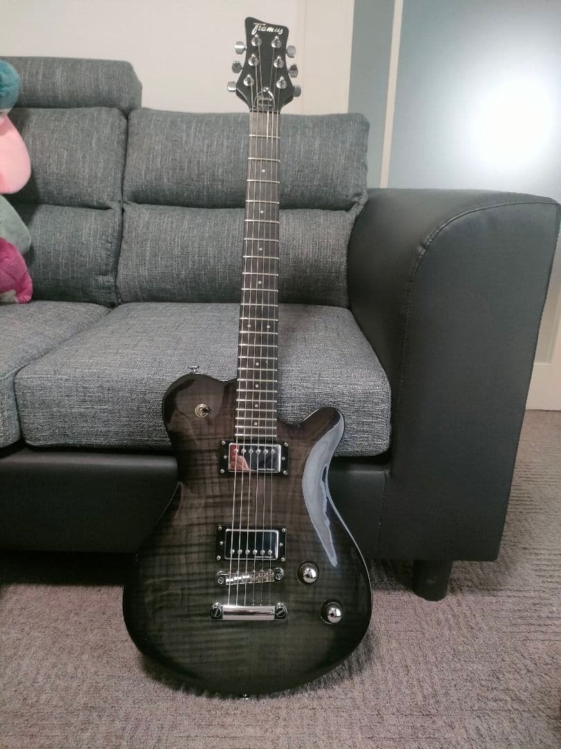 希少！Framus Dシリーズ Panthera Supreme　フラマス