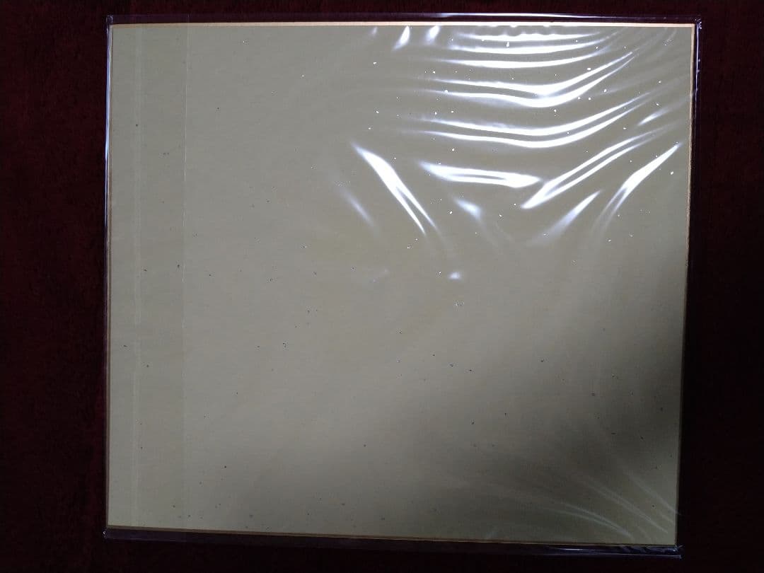 ZARD　直筆サイン色紙【君がいない】懸賞当選品