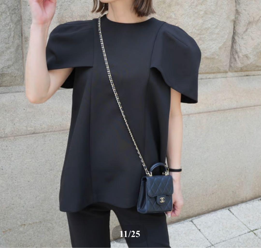 【♡】完売品 Heve へイヴ Swan Grace BL black