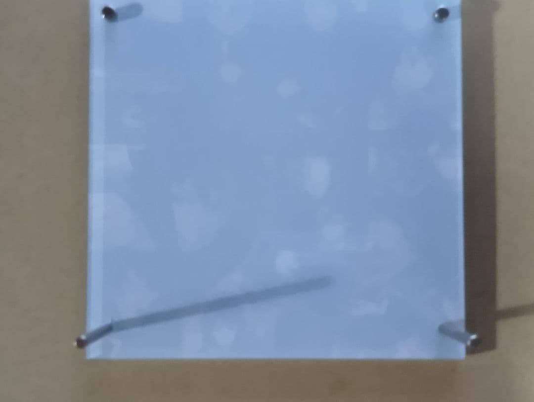 鬼滅の刃 冨岡義勇 柱イベント開幕記念 柱稽古編 コラージュレイヤードパネル