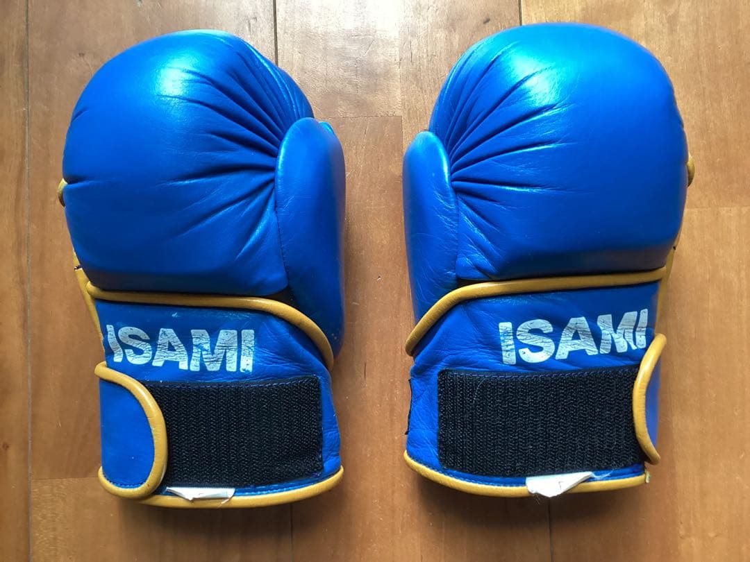 イサミ　パウンドグローブ　IS -756 フリーサイズ