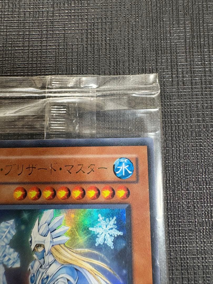 アイス・ブリザード・マスター　秘蔵レア　未開封　1枚