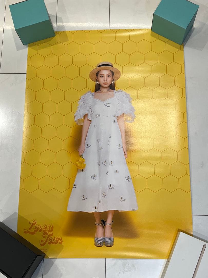 【新品未使用】西野カナ　公式ツアーポスター10枚セット