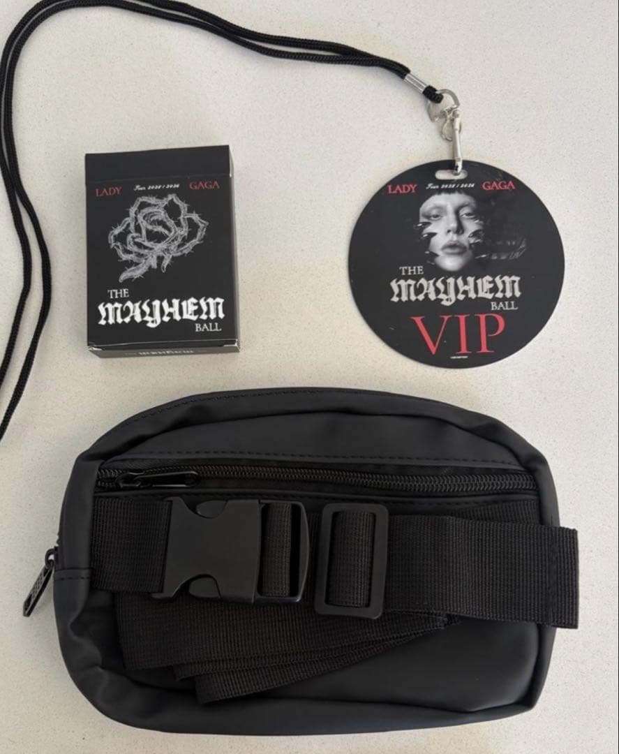 レディーガガ VIPグッズ バッグ、カード、ラミネートパス 3点