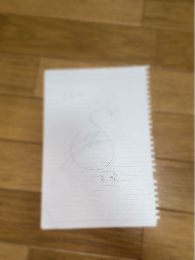 岩城星那くん　サイン *貴重* 岩城星那さん編】LIL LEAGUEの最年長、「メンバーイチ字がキレイな