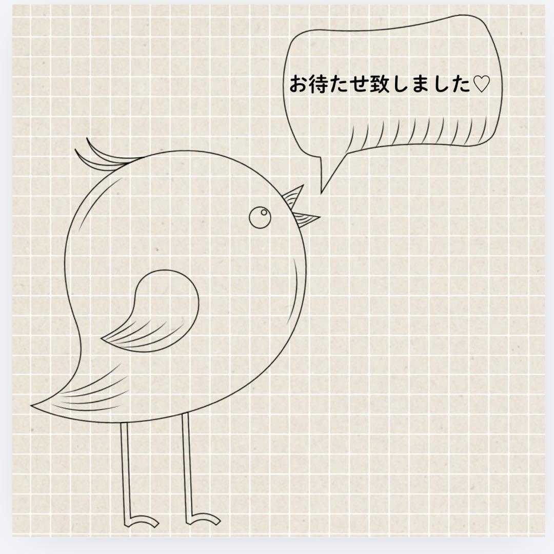 naoさま専用です(о´∀`о)