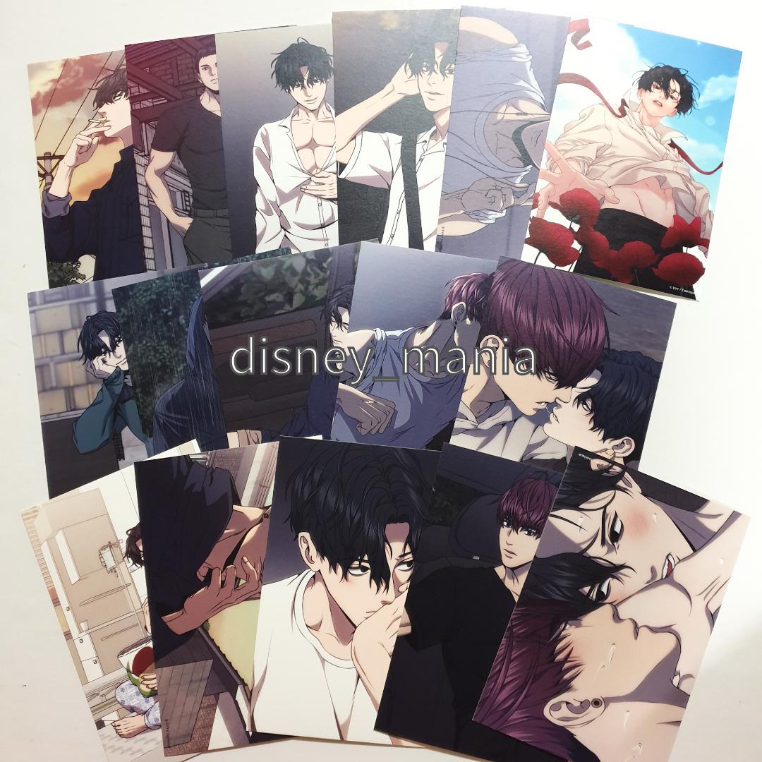 韓国BL 駒たちの世界 非売品ポストカード完成セット - メルカリ