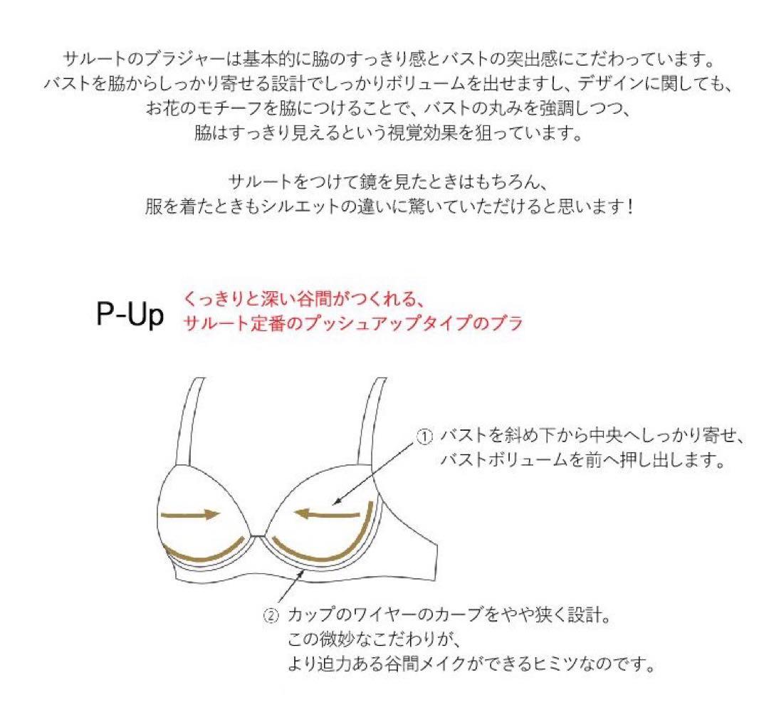 【サルート】希少G65 《新品》日本の花嫁03G プッシュアップブラソングセット