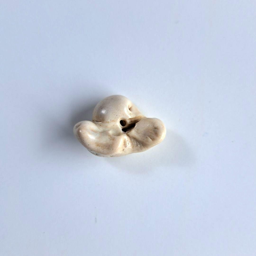 イルカの耳骨【大きさ2.8㎝】