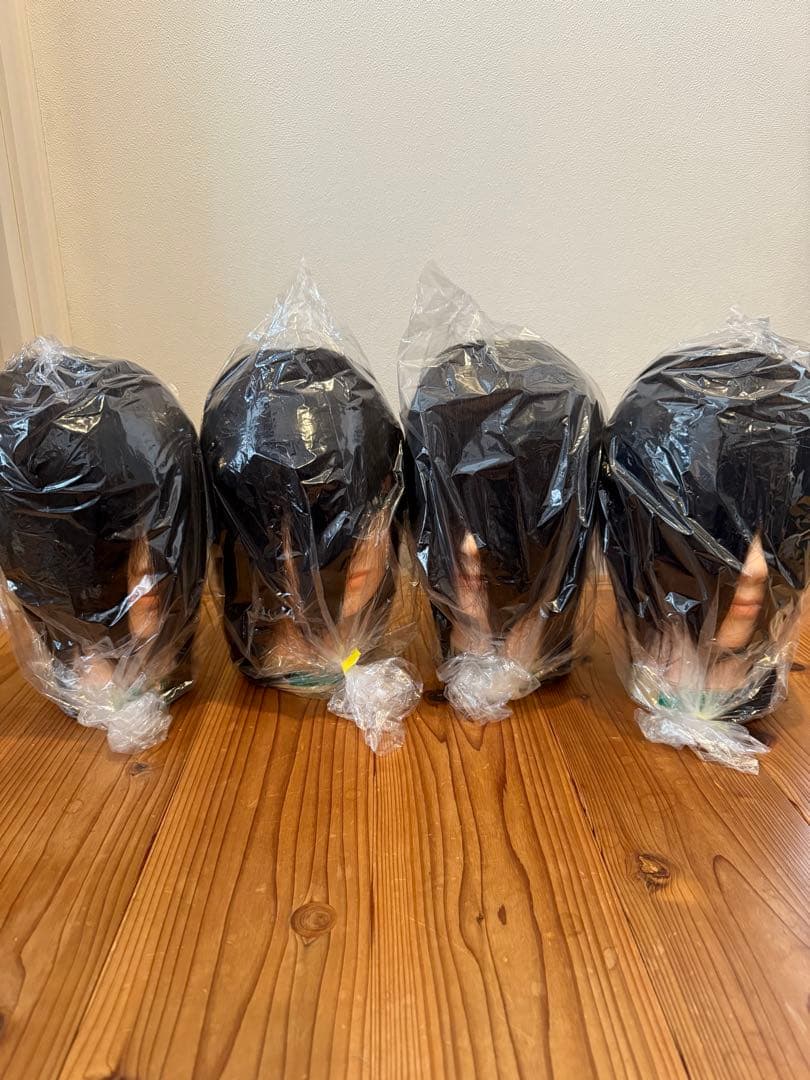 国家試験練習用カットウィッグ レジーナ No.800M【理容師実技試験課題/国家試験練習用/人毛100%】の卸