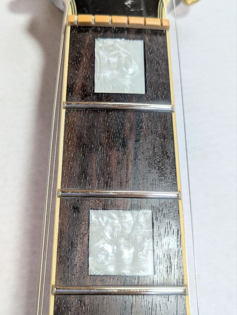 ギター GrassRoots Knight G-KT-50C See Thru Red