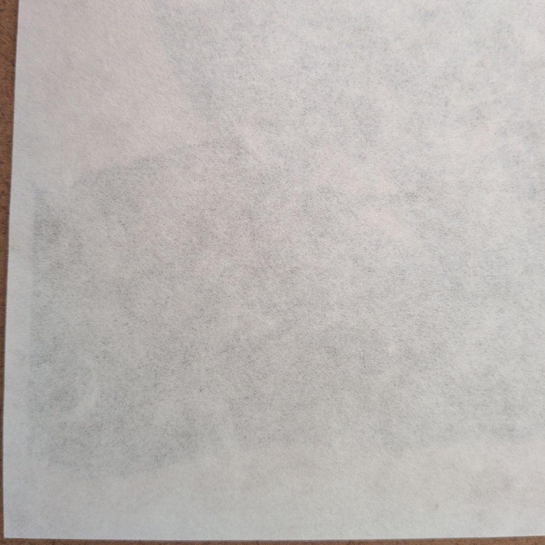 ヒグチユウコ 書店購入特典 複製画プリント 2017 非売品