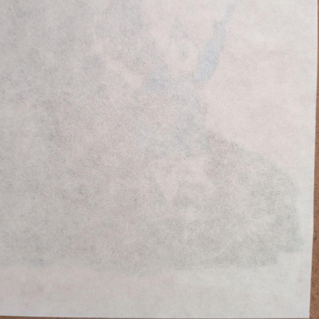 ヒグチユウコ 書店購入特典 複製画プリント 2017 非売品