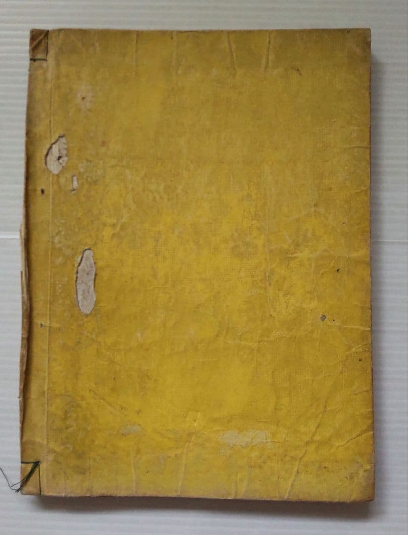 超希少 名家画譜 初編 須原屋佐助 金花堂