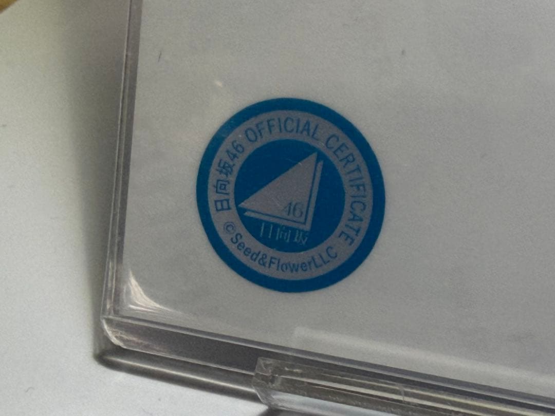 ぱ*ん様 【正月限定おまけ付き】日向坂46 佐々木美玲 サイン 生写真