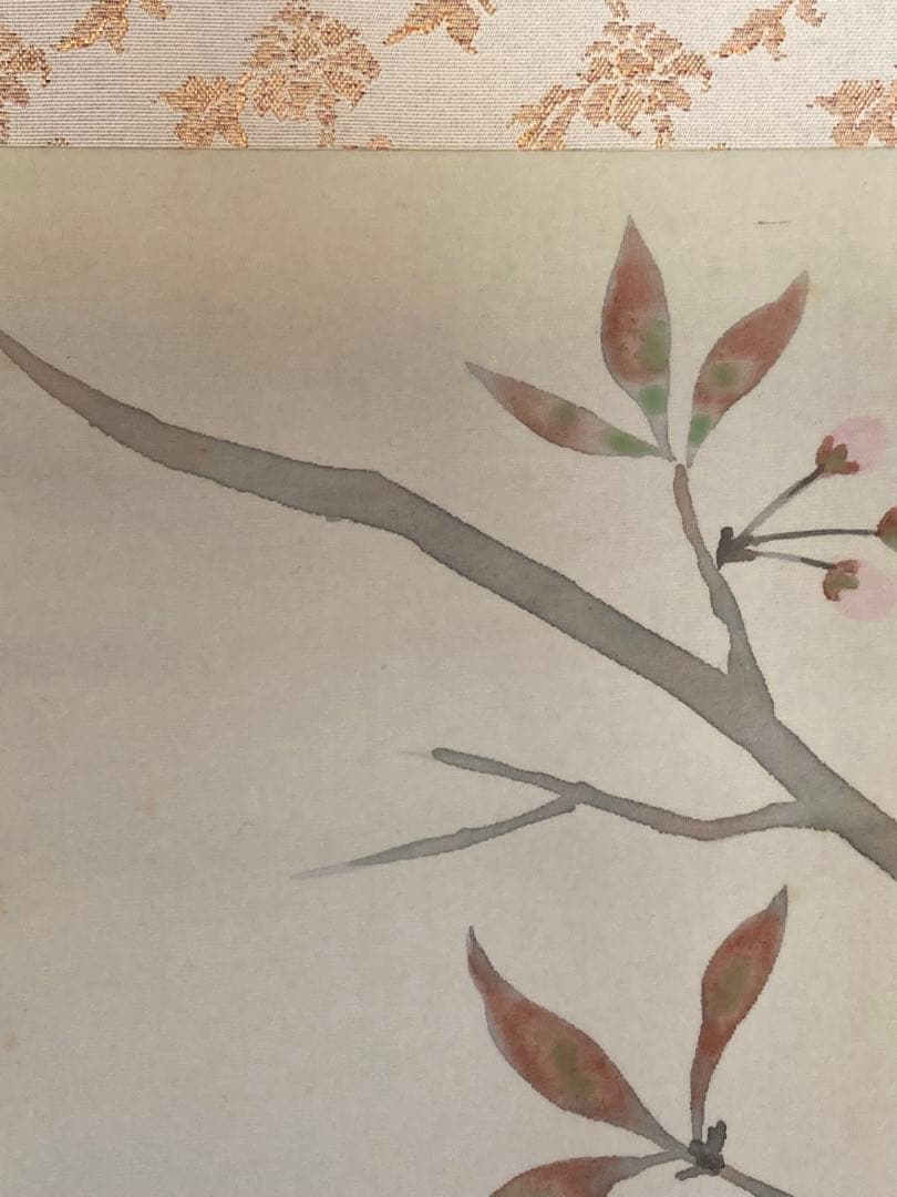 掛け軸 「 桜」箕輪虹遊 作　三越美術館 ☆ USED