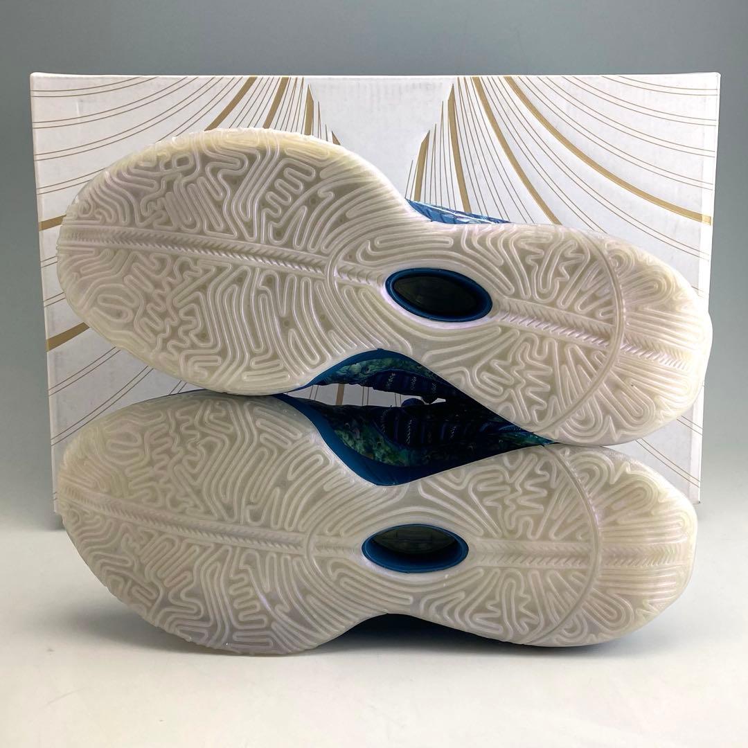 25cm ナイキ レブロン21 \"アバロン\"