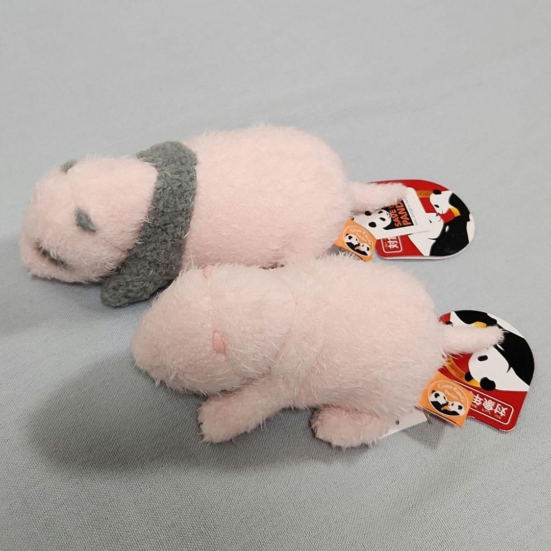 上野動物園 ほんとうの大きさのパンダの仔 シャオシャオ レイレイ