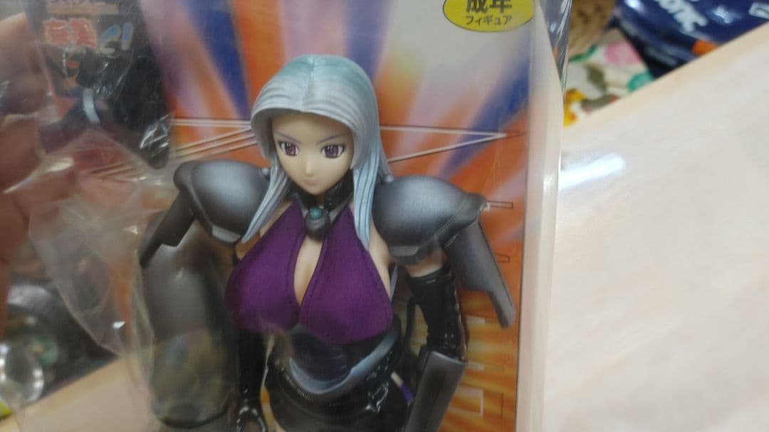 新井直子 「ちゃたろーPRESENTS 奈美SOS!」 1/6 成年シリーズ3