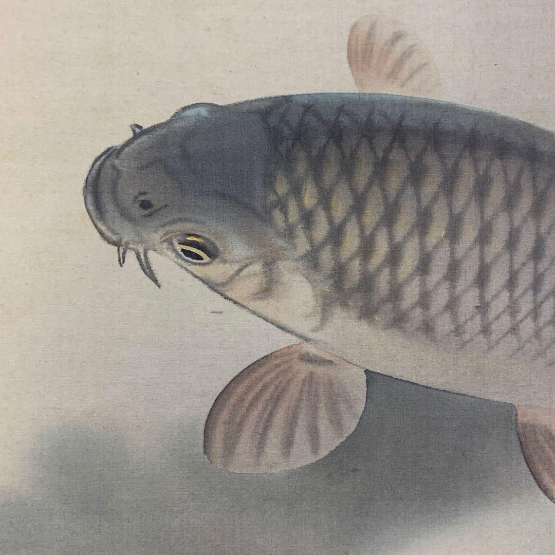 掛軸 伊藤素軒 鯉 木箱 月上 水 3-4