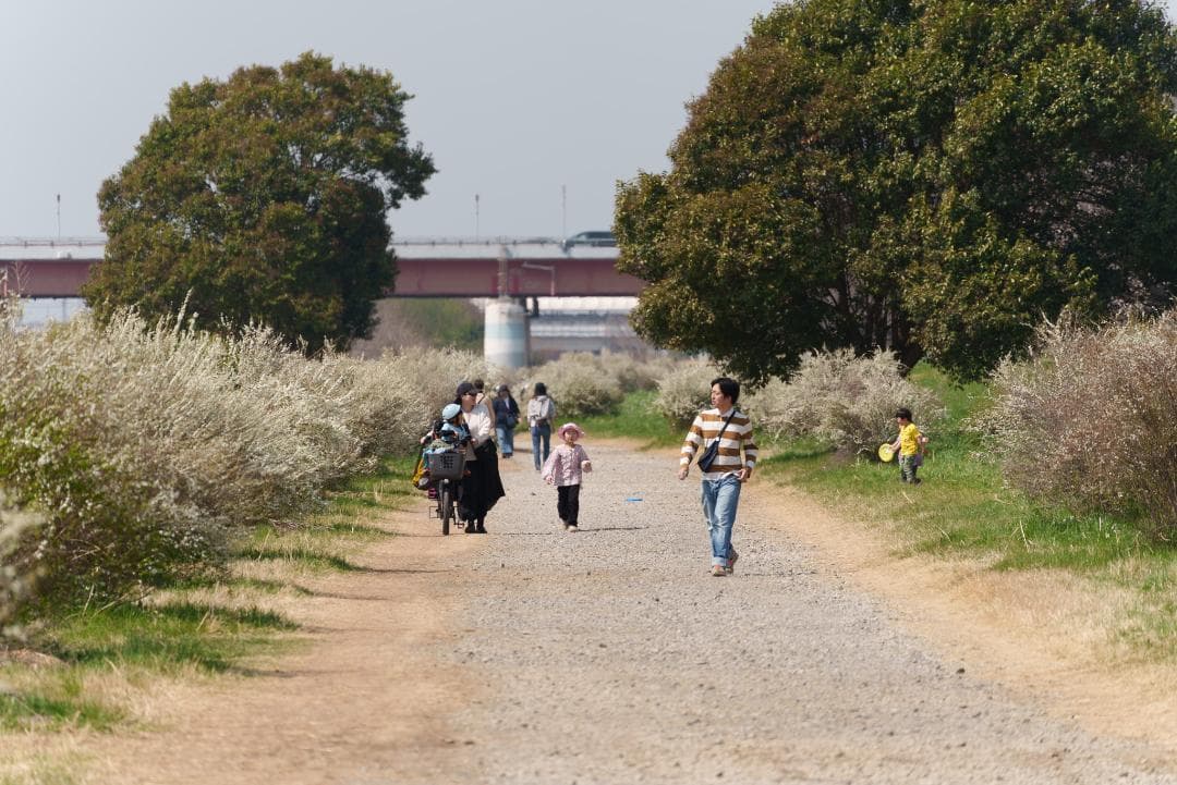 新品同様！超望遠ズーム！TAMRON 70-300mm F4.5-6.3