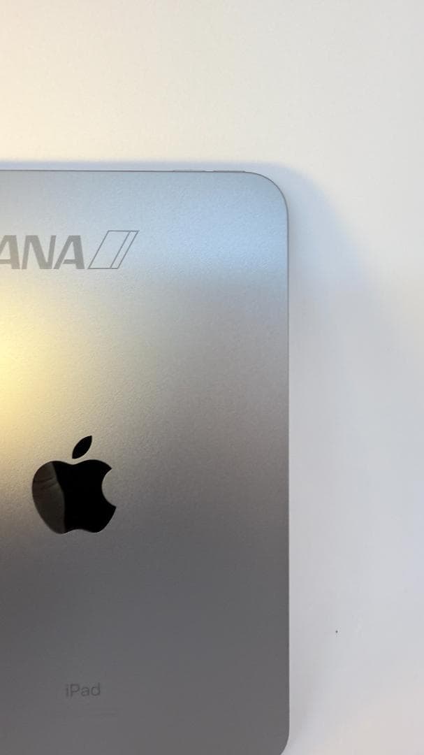 ANAロゴ刻印】iPad mini Wi-Fiモデル 64GB スペースグレイ - メルカリ