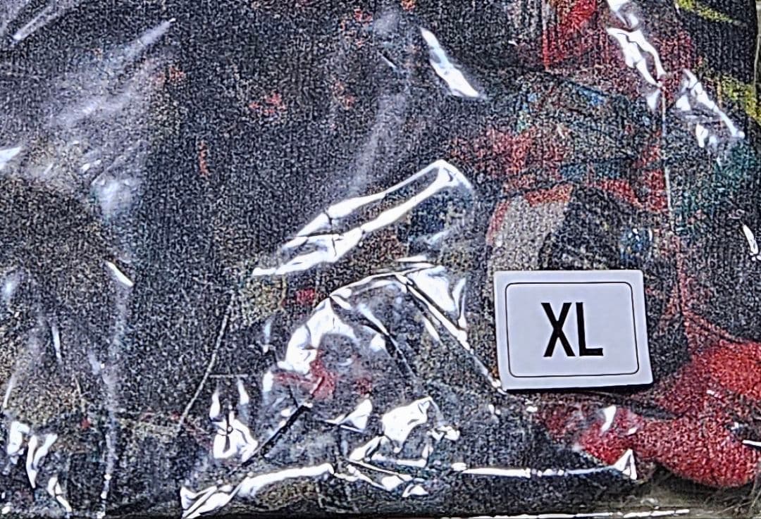 ELLEGARDEN ロンT XL