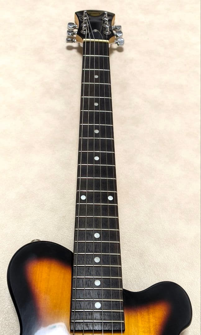 ☆超美品☆PIGNOSE アンプ内蔵ミニギター BS ピグノーズ トラベル