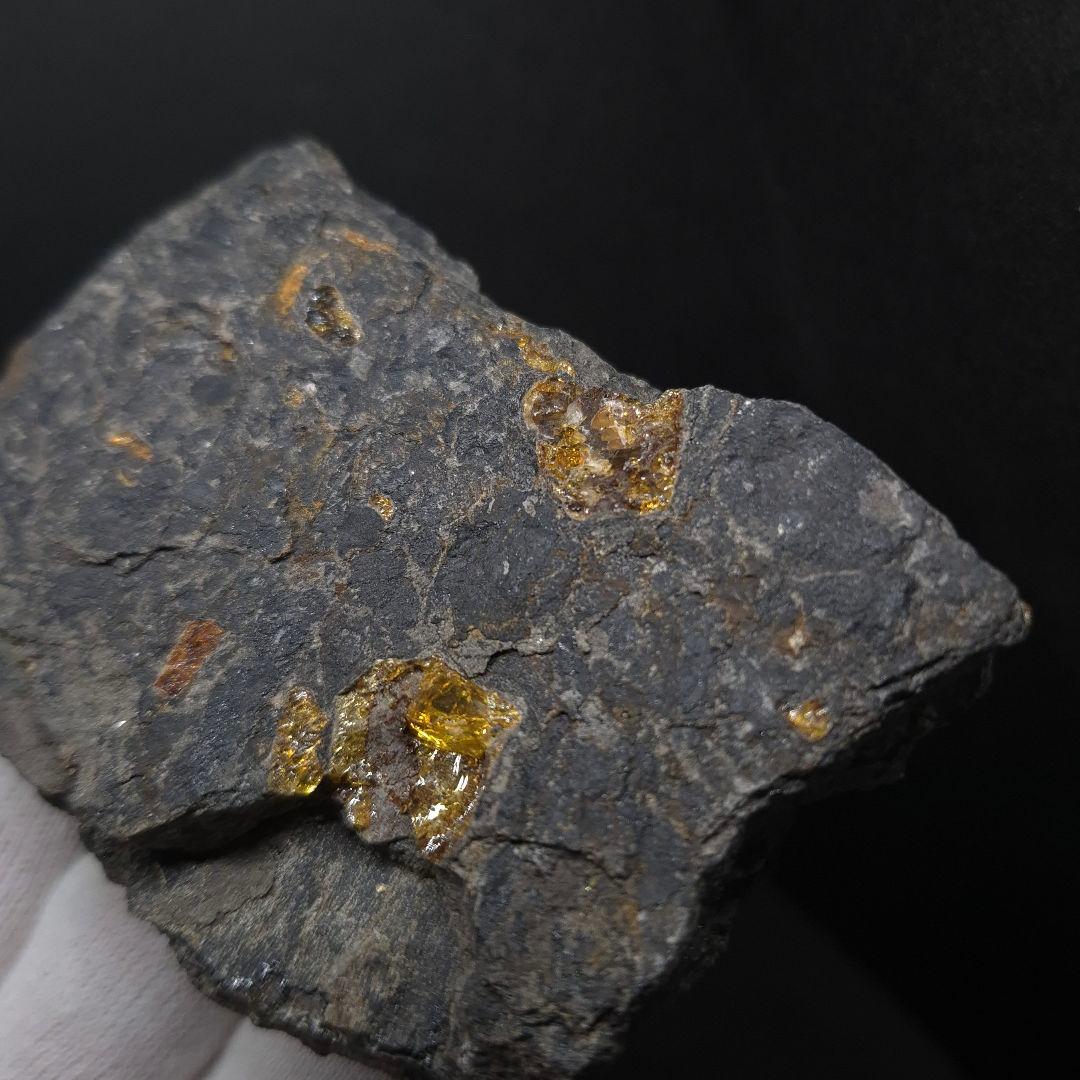 母岩付き 琥珀 化石 本物 87.71mm fab1