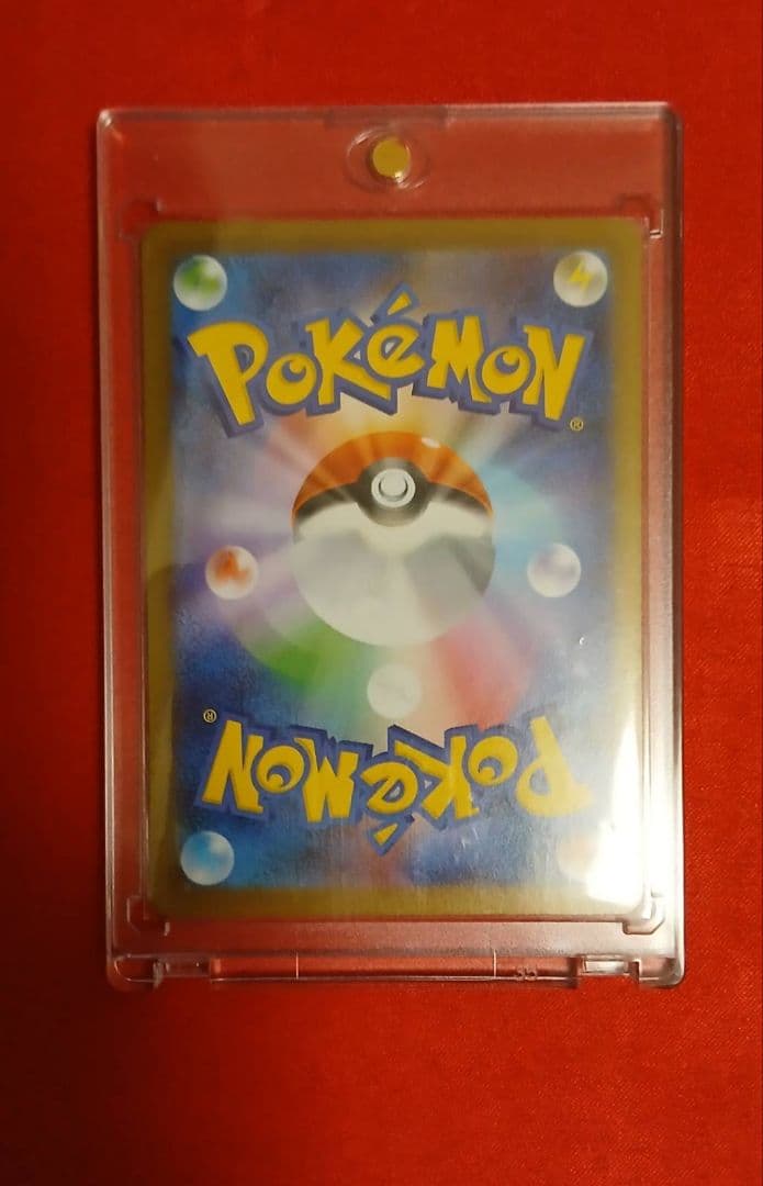 猫っ子　メガリザードンX EX　SAR ポケモンカード