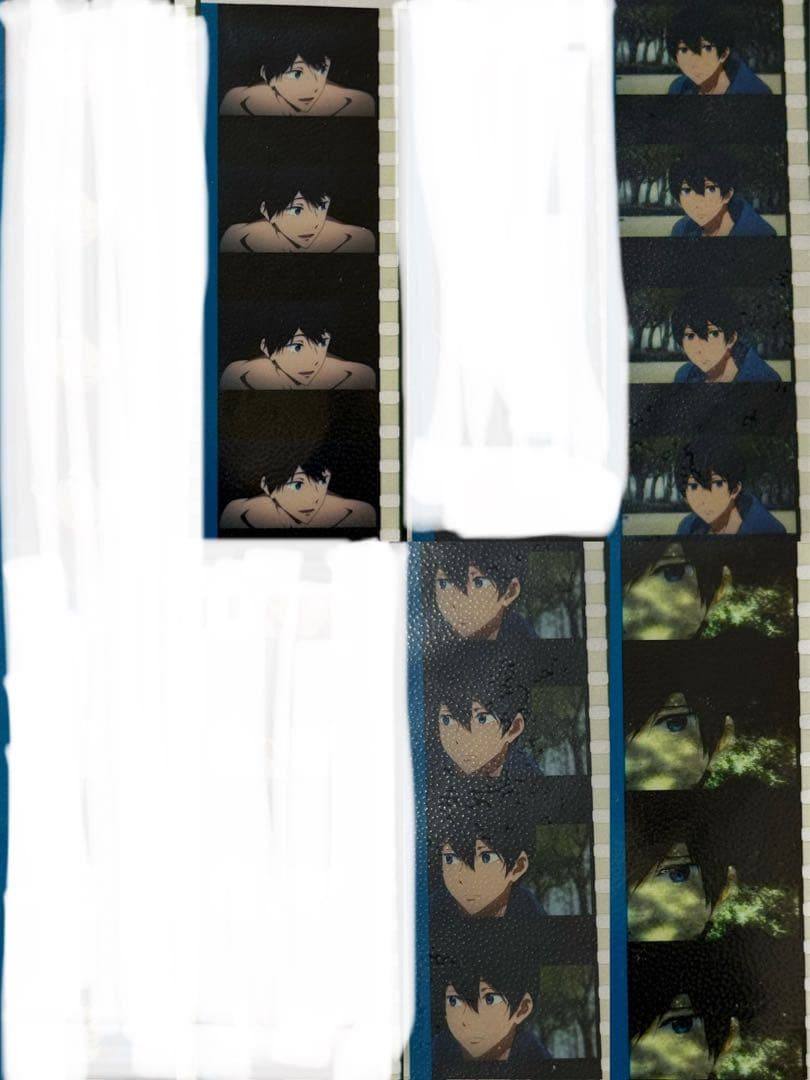 Free! the Final Stroke 入場特典 コマフィルム 遙 真琴