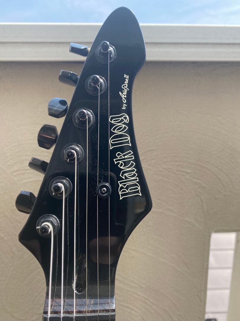 Black Dog by Aria proII(ストラトキャスター タイプ) - メルカリ