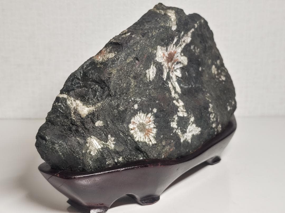 菊花石 2.3kg 紋石 花紋石 原石 鑑賞石 自然石 誕生石 鉱物 鉱石 水石