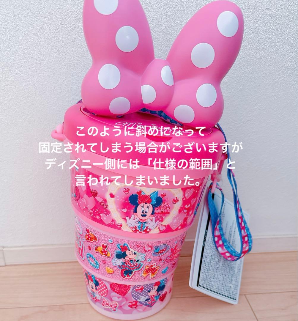 ディズニーランド　ミニーファンダーランド　パルパルーザ　ポップコーンバケット